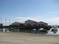 IMG_2941 IMG_2941