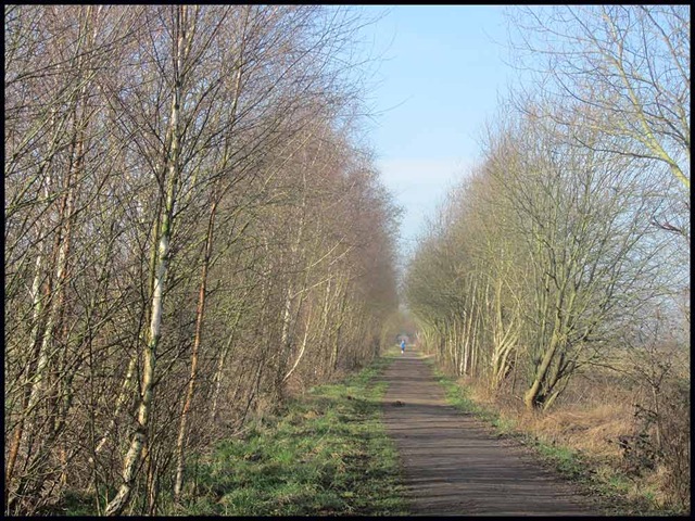 [0101lymm1%255B3%255D.jpg]