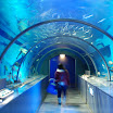 hokkaido_538.jpg