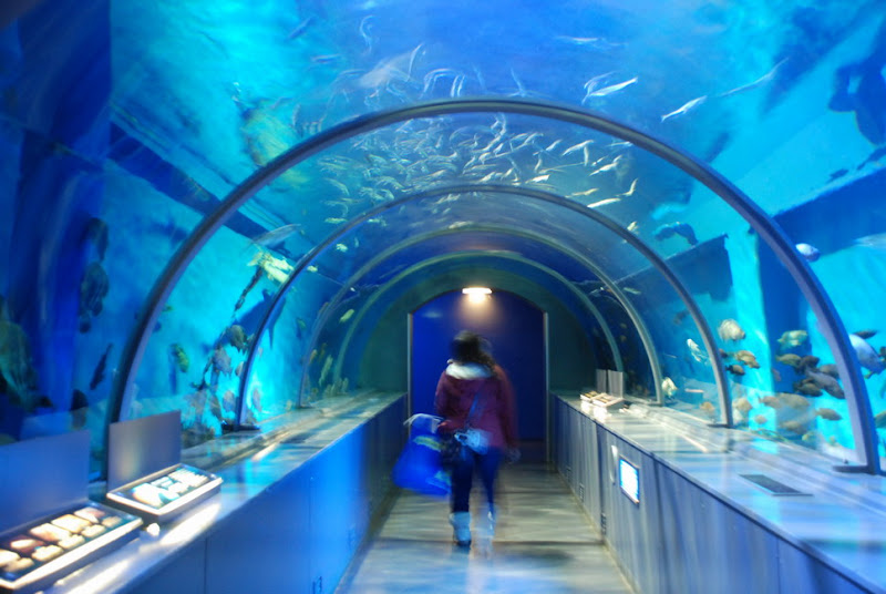 hokkaido_538.jpg