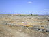 Mykonos and Delos