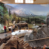 Visitor Center do Denali National Park, Alaska, EUA