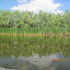 IMG_1367.JPG