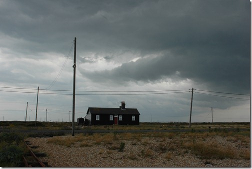 dungeness 084