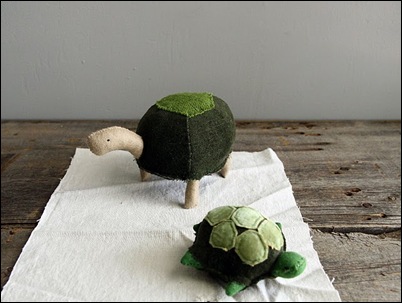 tortoise 4