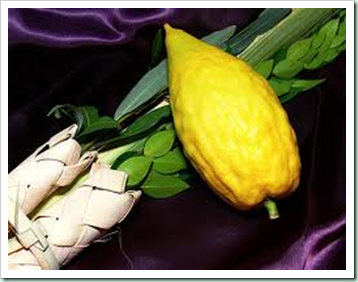 lulav etrog