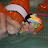 IMG_4874.JPG