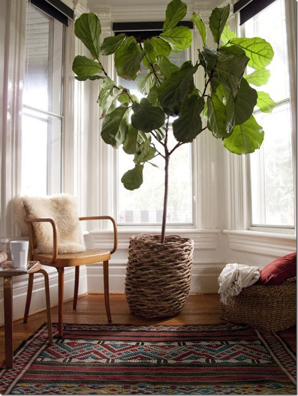 Feng Shui Your Life: Review Series; Plants- design addict mom Feng Shui Your Life: Review Series; Plants- design addict mom