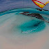 modern_shockproof_cameras_take_amazing_extreme_sports_photos_640_high_28.jpg
