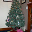 P1000131.jpg