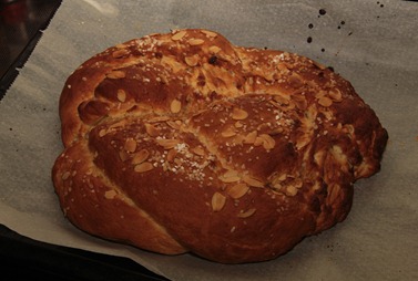 osterzopf osterzopf