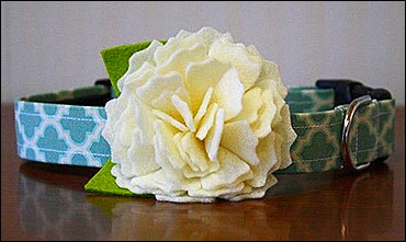 Ivory collar Ivory collar