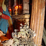 1467-5.JPG