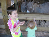 IMG_7456.JPG