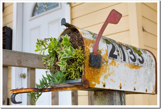 120929_SucculentGardens_mailbox