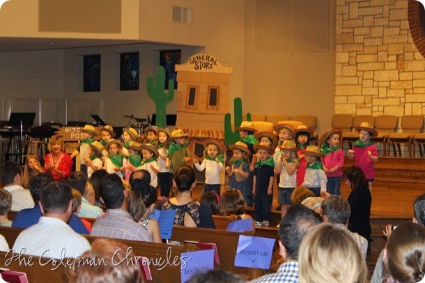 IMG_1530 IMG_1530