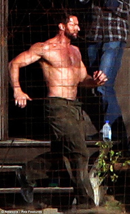 Wolvie set 03