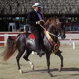 Interpaso 2007