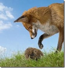 Fox and the Hedgehog