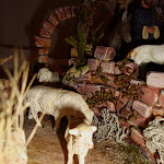 1514-3.JPG