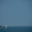 IMG_5260.jpg
