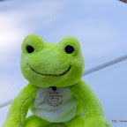 _IGP0093.JPG