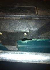 bin mouse damage (1)