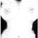 torso scans_Page_07.jpg