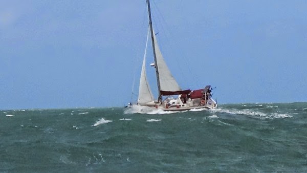 IMG_0005_2.jpg IMG 0005 2