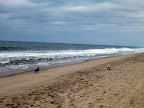 Wow, Francesca.  Look how short the beach looks.  Local officials are saying this is the worst beach erosion in half a century.
