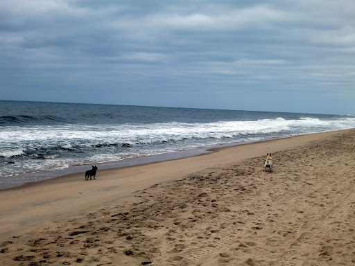 Wow, Francesca.  Look how short the beach looks.  Local officials are saying this is the worst beach erosion in half a century.