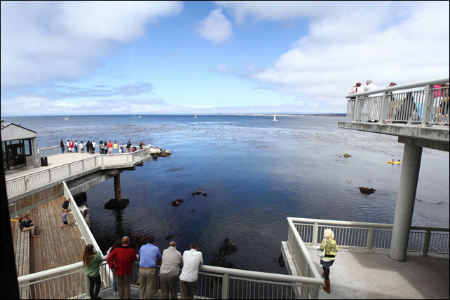 A view from the Monterey Bay Aquarium, where in 2010 a climate-change exhibit outraged dairy farmers by featuring a cow wearing a gas mask. (Cows are a source of methane, a greenhouse gas.) The mask was removed. Photo: Ethan Magoc / Post-Gazette