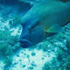 IMG_1183.JPG