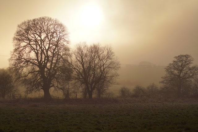 Castle Acre Priory in fog