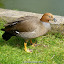 P1170005.JPG