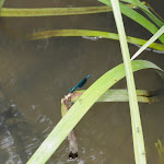 DSC_1229.jpg