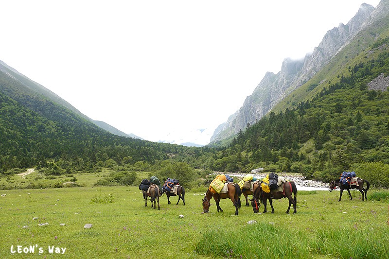 blog_0186 blog_0186