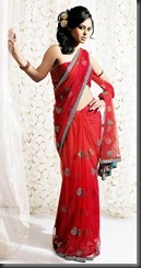 bindu-madhavi _ hot bindu-madhavi _ hot