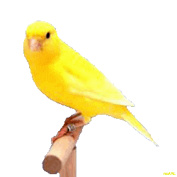 Https Encrypted Tbn0 Gstatic Com Images Q Tbn 3aand9gcrc8ctvtfffs Vvxbpo0hxartrpt4112rqrvvwkeb0ihj9nmurv