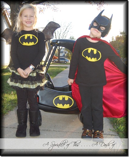 Batman and Batgirl and the Batmobile! {A Sprinkle of This . . . . A Dash of That}