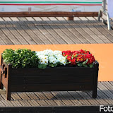 I Regata Nazionale 2012 - Finali