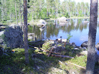 S5030384.JPG