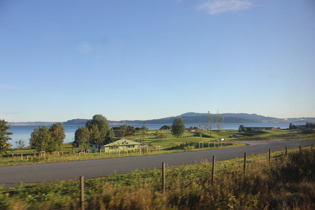 IMG_1904 IMG_1904