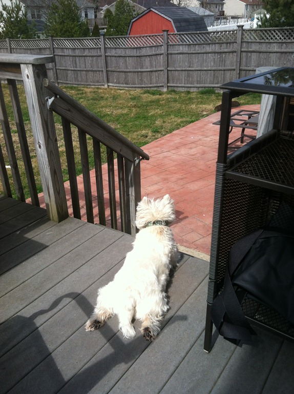 [2012.03.18%2520here%255B4%255D.jpg]