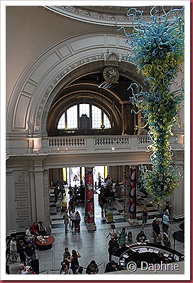 IMG_9005 IMG_9005