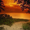 sunsets-beach.jpg