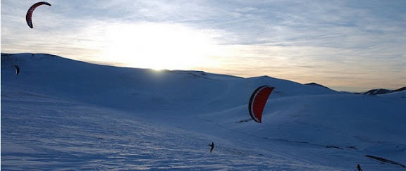 tic_0_296.jpg