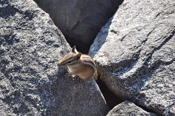 DSC_0655.JPG DSC_0655.JPG