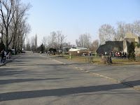 P3170255.JPG