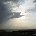 Img_1755